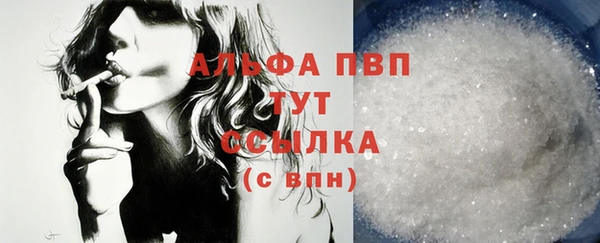 шишки Медвежьегорск