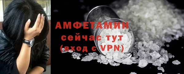 прущие грибы Магадан