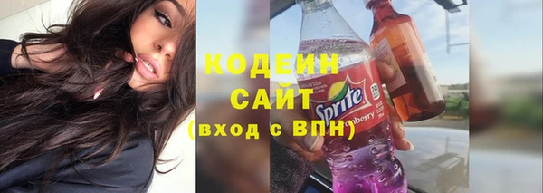 шишки Медвежьегорск
