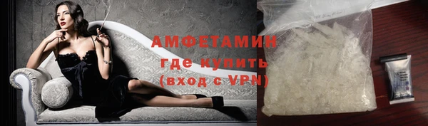 шишки Медвежьегорск