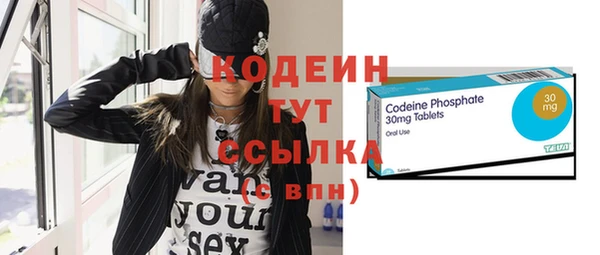шишки Медвежьегорск
