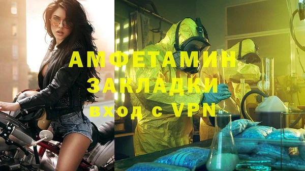 шишки Медвежьегорск