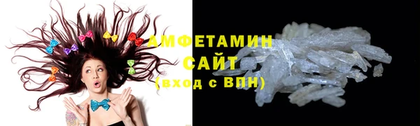 шишки Медвежьегорск