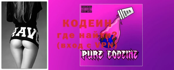 шишки Медвежьегорск