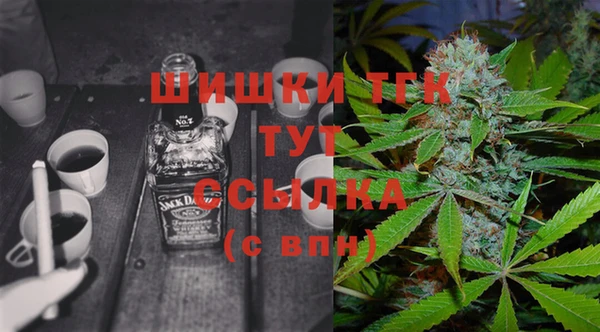 шишки Медвежьегорск
