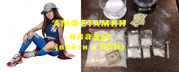 прущие грибы Магадан