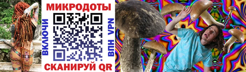 Купить закладки  Кущёвская  Псилоцибиновые грибы Psilocybe 